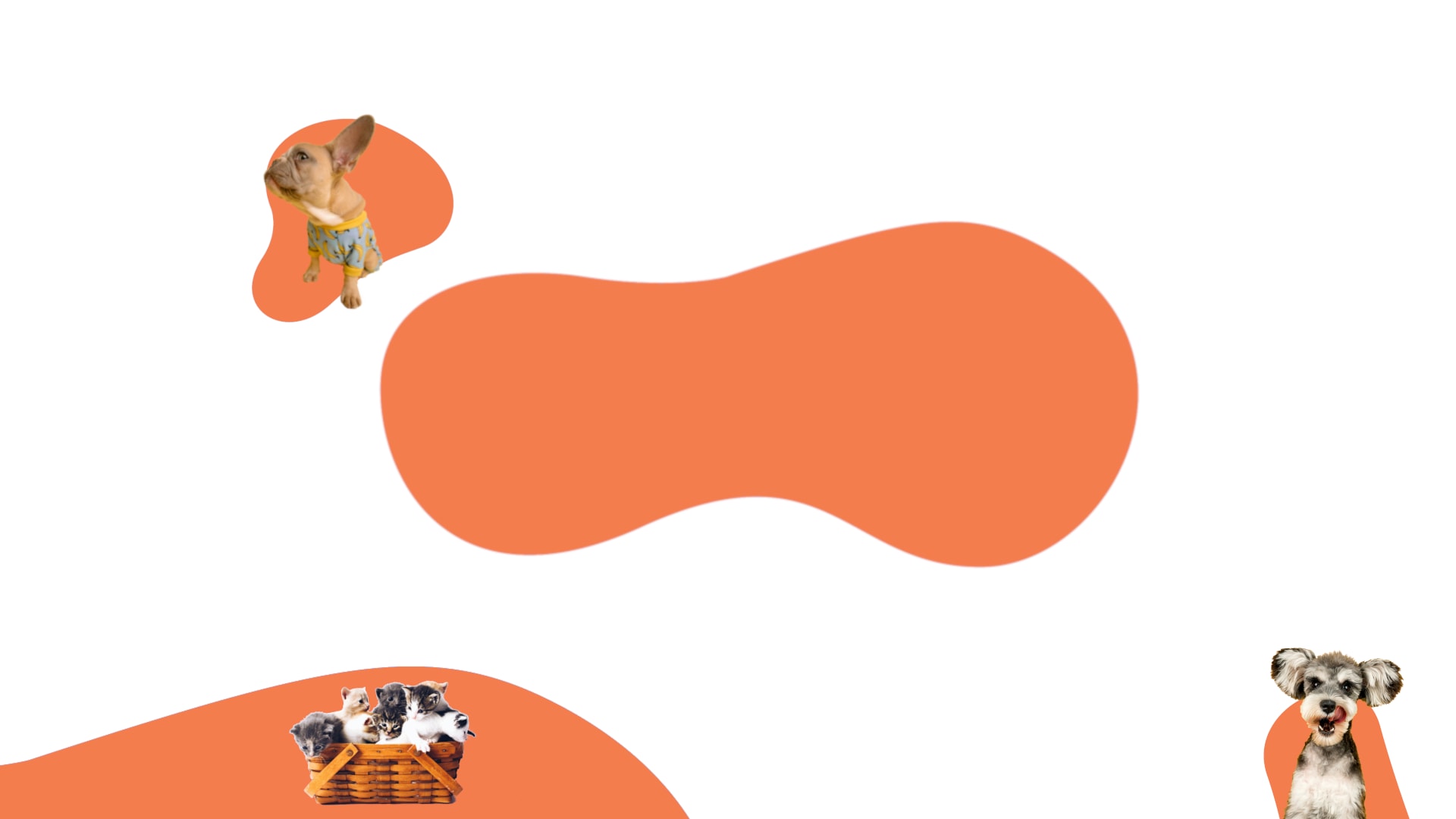 Fondo de veterinaria